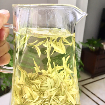 25新茶！冷库清仓！安吉原产地茶农直供高山安吉白茶雨前