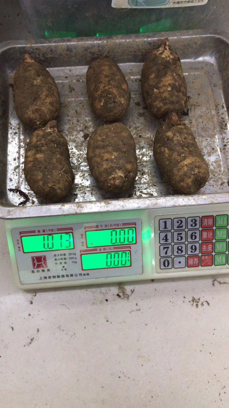 天麻新鲜天麻昭通新鲜天麻产地一手货源