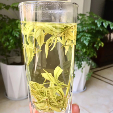 浙江安吉白茶原产地茶农直销兰花香型雨前口粮茶大量现货批发