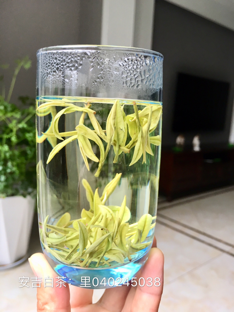 25年新茶原产地安吉白茶明前一级冷库清仓联系