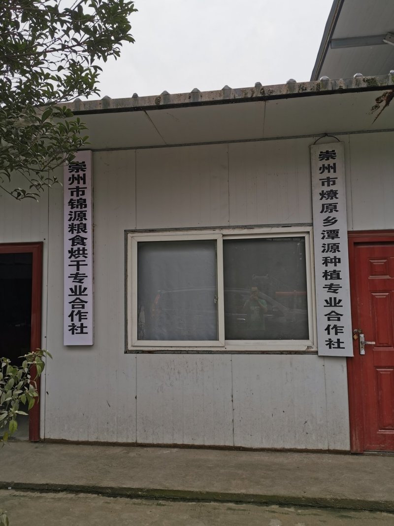 野香优优稻谷