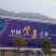 福建霞浦特级头水紫菜干货