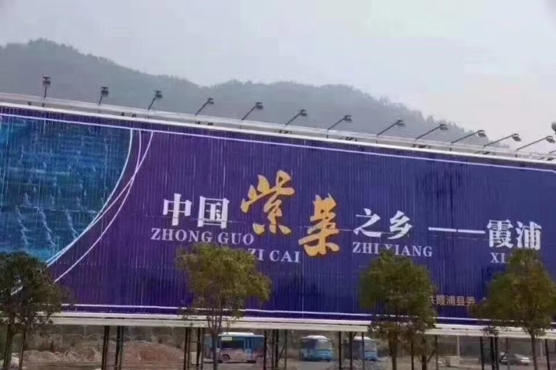 福建霞浦特级头水紫菜干货