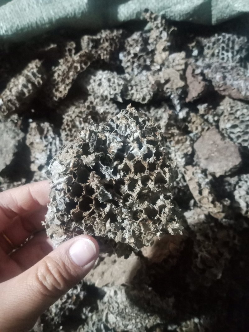 蜂房土蜂房蜂房硬蜂房批发零售各种规格中药材欢迎选购