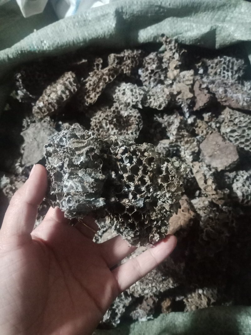 蜂房土蜂房蜂房硬蜂房批发零售各种规格中药材欢迎选购