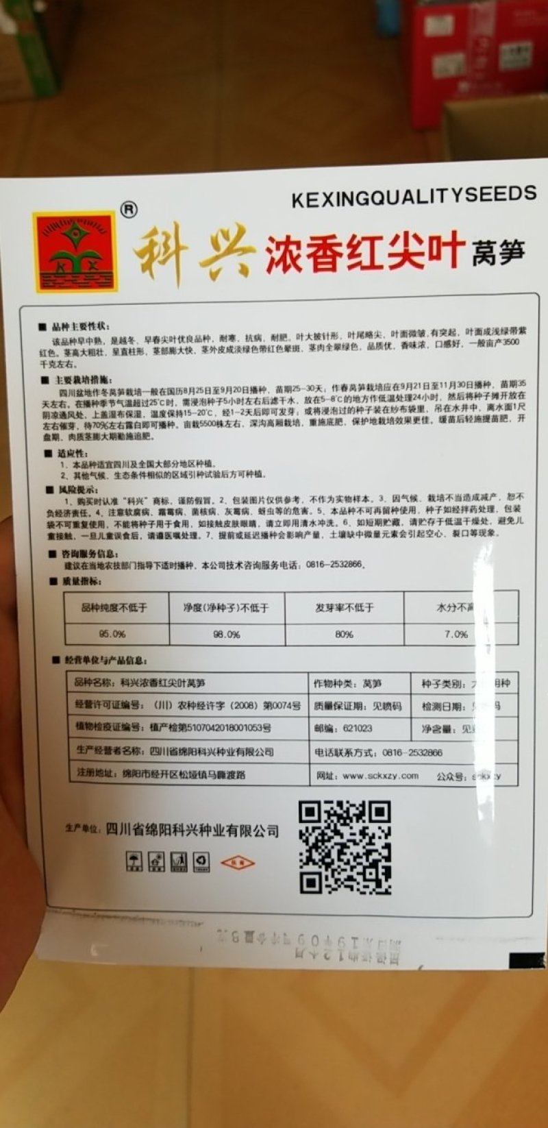 浓香红尖叶莴笋牛商推荐量大从优
