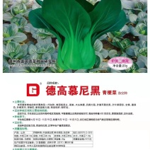 德高慕尼黑青梗菜20克牛商推荐量大从优