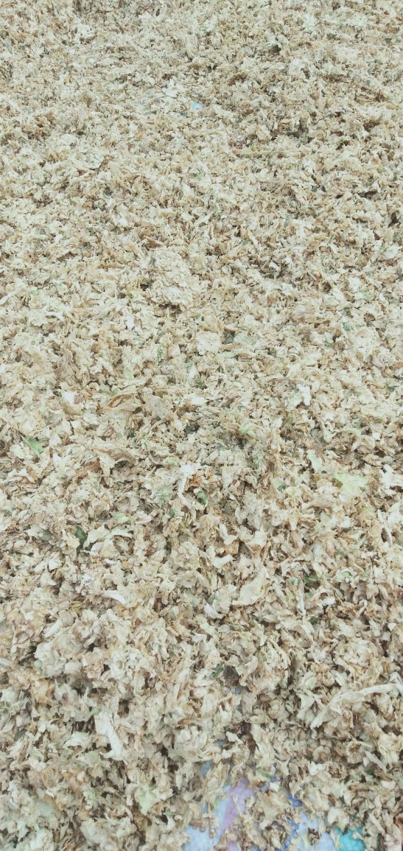 梅干菜，包菜干，卷心菜干干净无泥沙（包邮）。