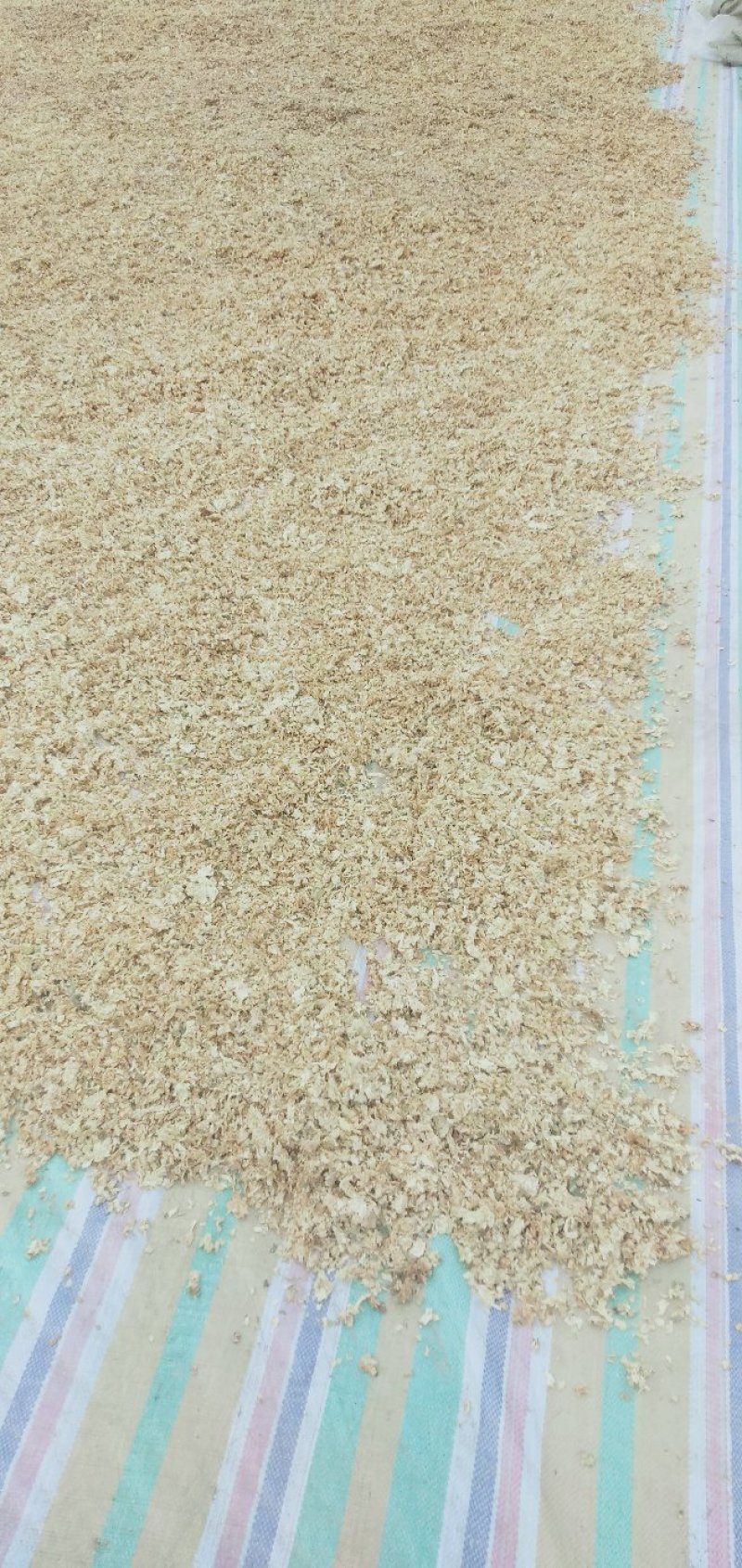 梅干菜，包菜干，卷心菜干干净无泥沙（包邮）。
