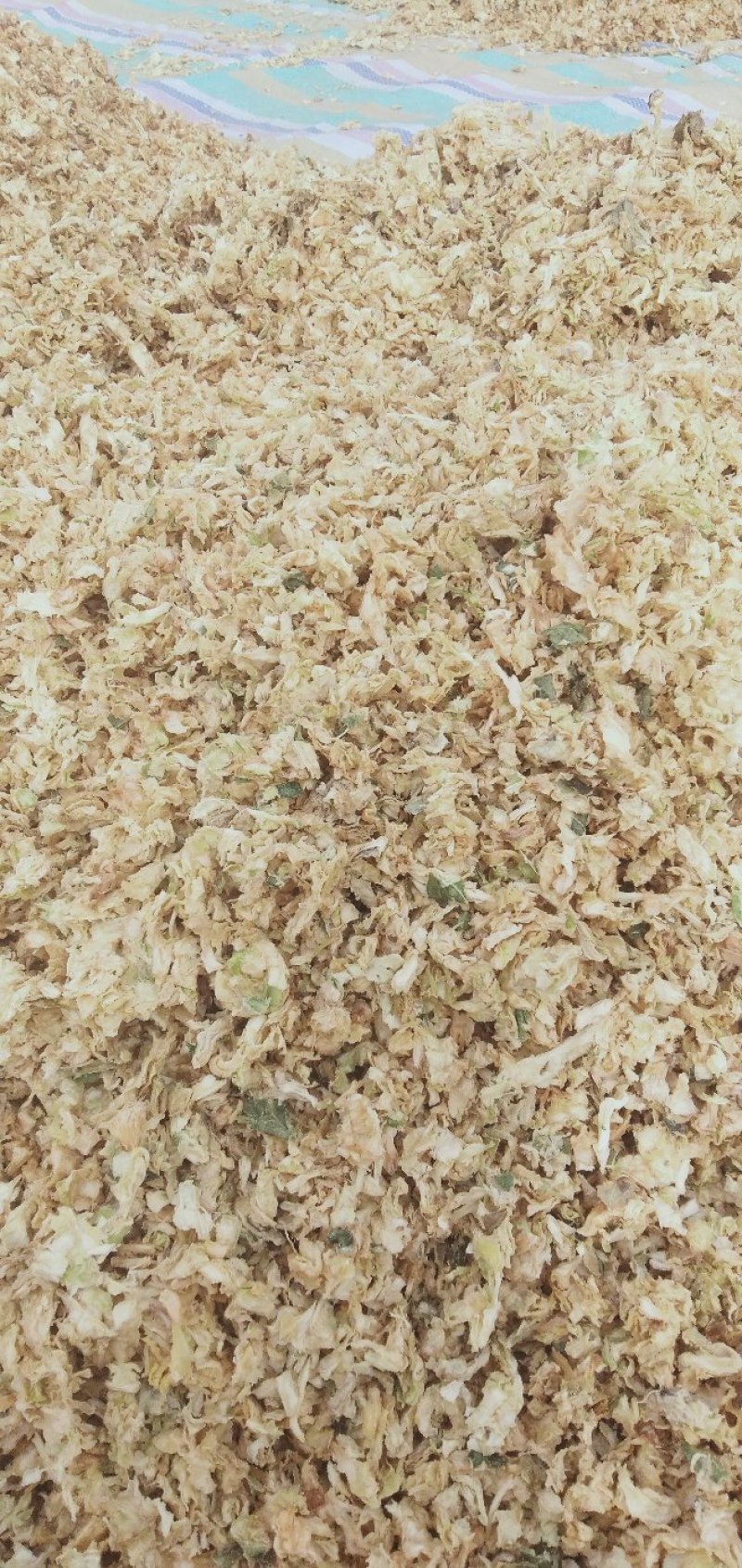 梅干菜，包菜干，卷心菜干干净无泥沙（包邮）。