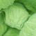 梅干菜，包菜干，卷心菜干干净无泥沙（包邮）。