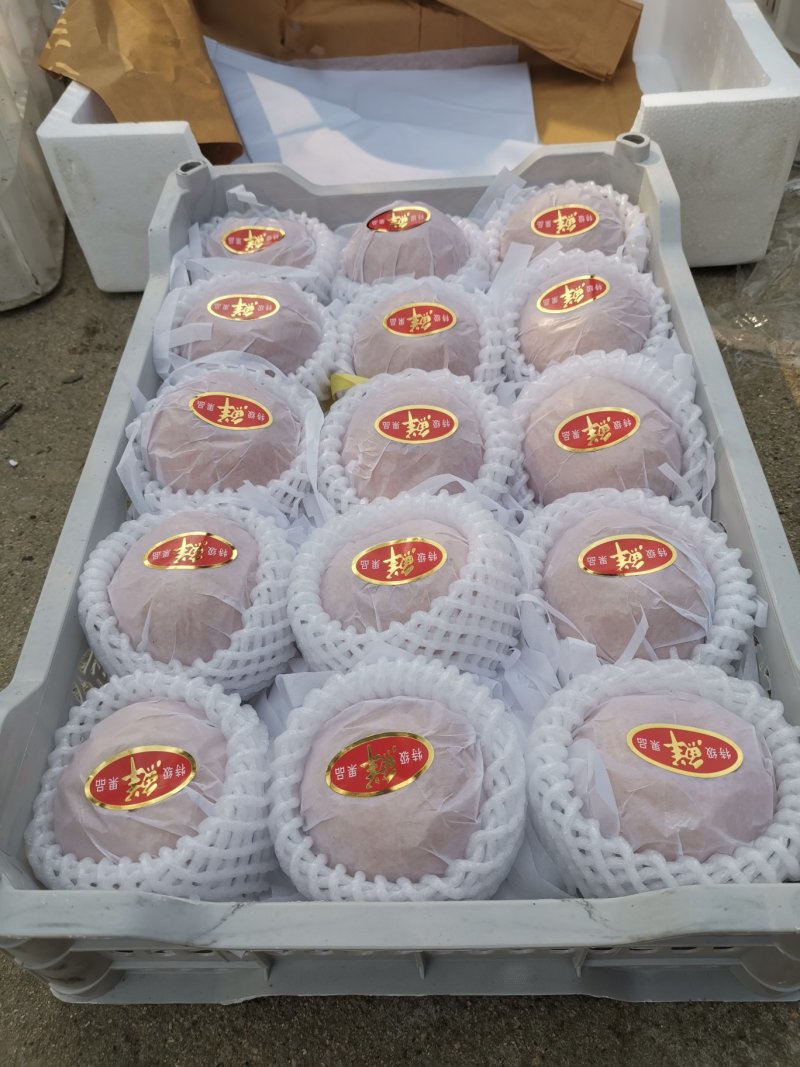 晚秋梨汁多甜量大价优