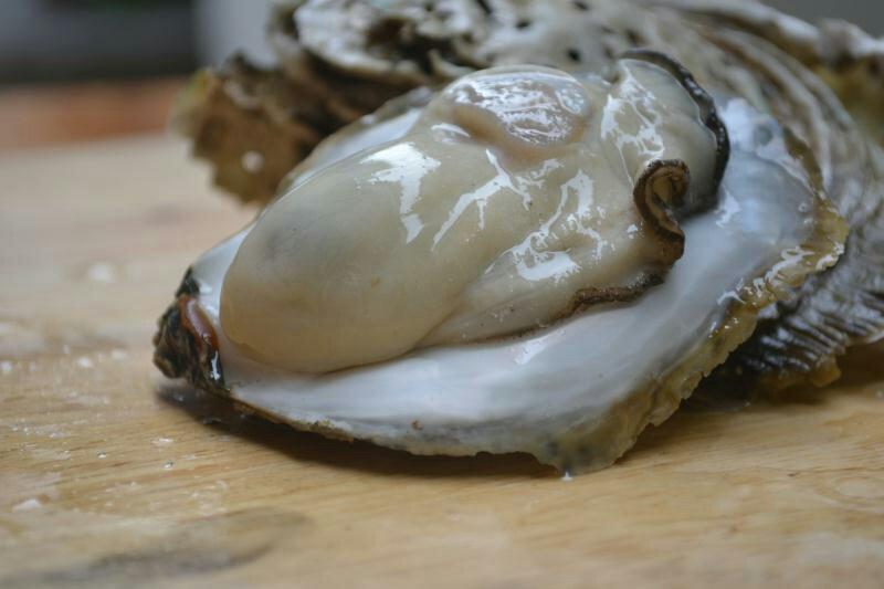生蚝鲜活全壳烧烤牡蛎高压锅生蚝带壳生吃品质脆蚝