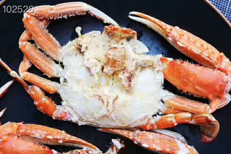 活冻扁蟹肉蟹梭子蟹