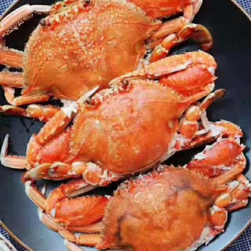活冻扁蟹肉蟹梭子蟹