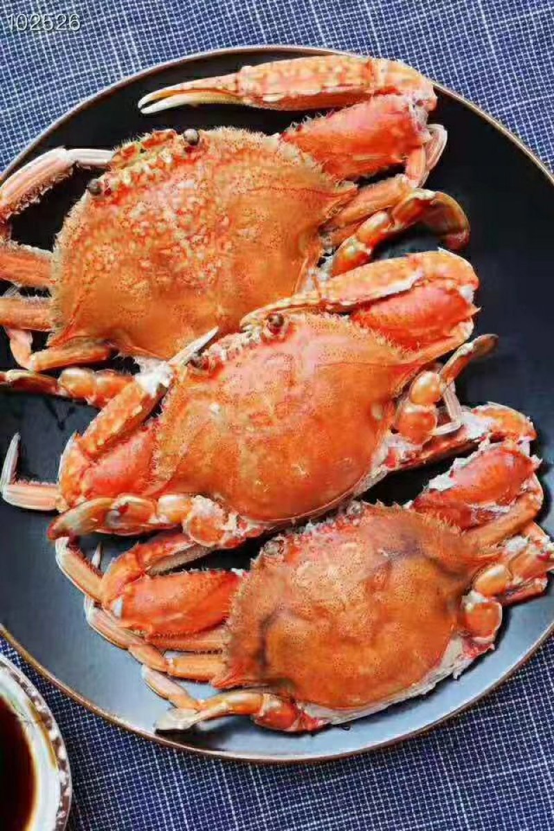活冻扁蟹肉蟹梭子蟹