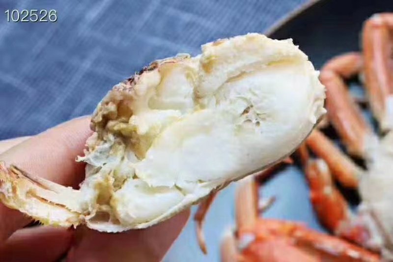 活冻扁蟹肉蟹梭子蟹