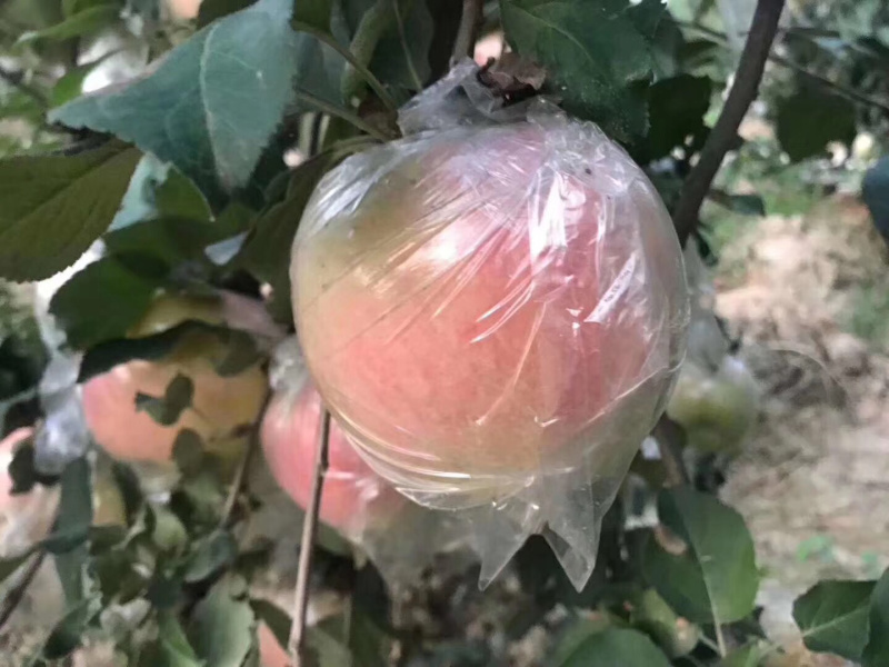 自产自销