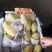 一级半高乐蜜芒果玉芒大青芒
