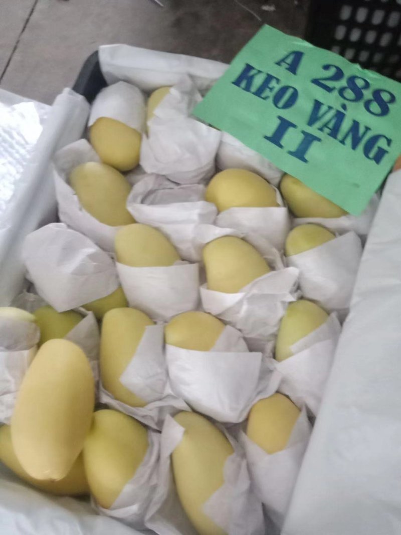 一级半高乐蜜芒果玉芒大青芒