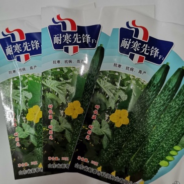 【耐寒先锋】杂交黄瓜种子耐低温耐弱光高产抗病大田基地用种