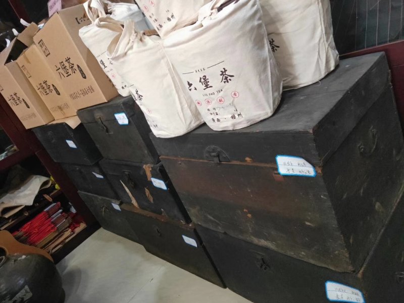 自家产六堡茶