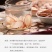鹿鞭片新货鹿厂直供滋补泡酒煲汤佳品10克