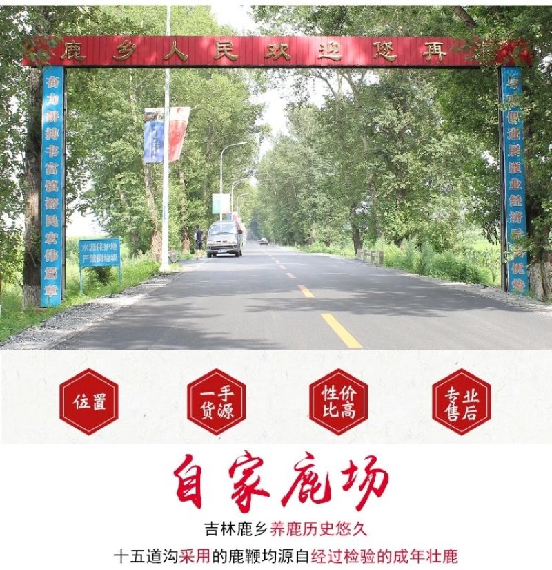 鹿鞭片新货鹿厂直供滋补泡酒煲汤佳品10克