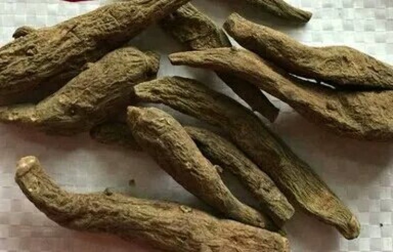 双肾草各种规格可搭配多品种采购大货联系客服