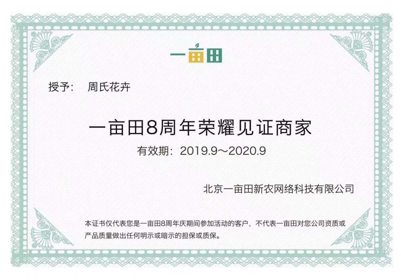 紫花地丁基地直供大量有货欢迎选购