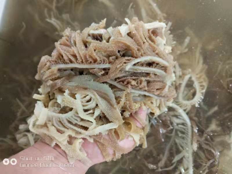 【牛肚】千层肚丝货源充足品质保证欢迎各地老板来电