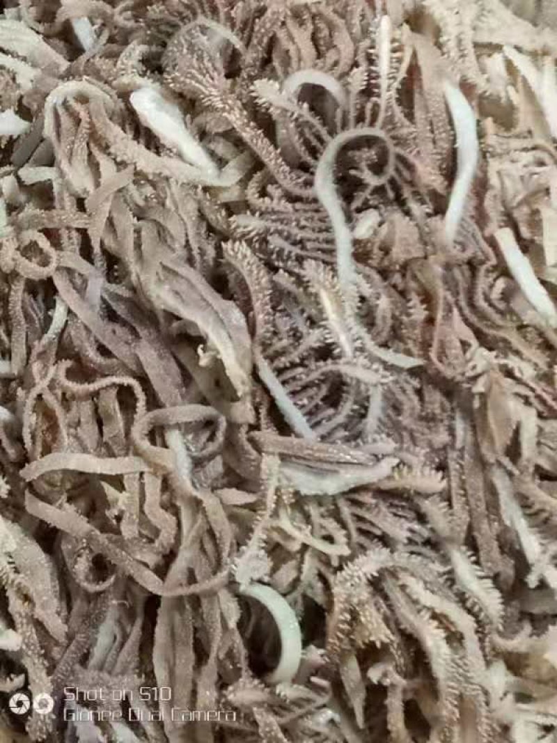 【牛肚】千层肚丝货源充足品质保证欢迎各地老板来电