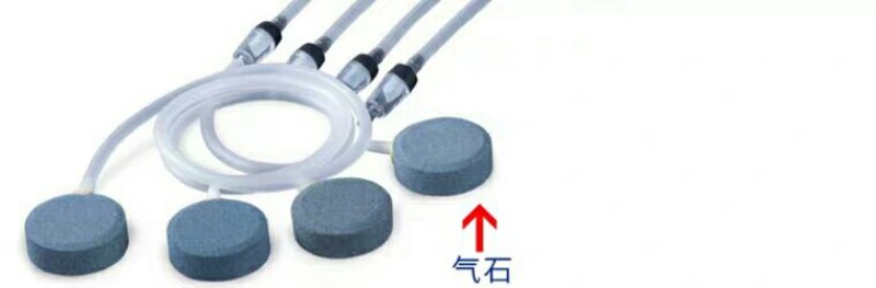 氧气泵鱼缸养鱼松宝增氧泵静音增氧机气泵小型制氧机养鱼用打