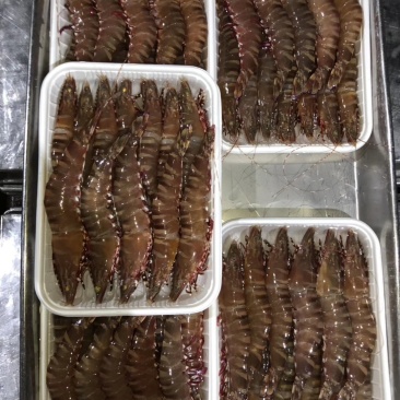 深海花节虾一斤16头左右方便食用
