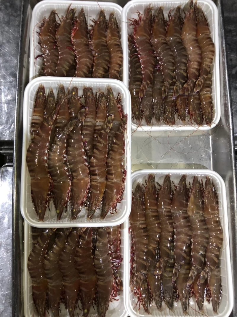 深海花节虾一斤16头左右方便食用