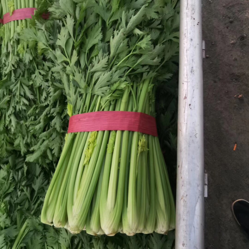 芹菜