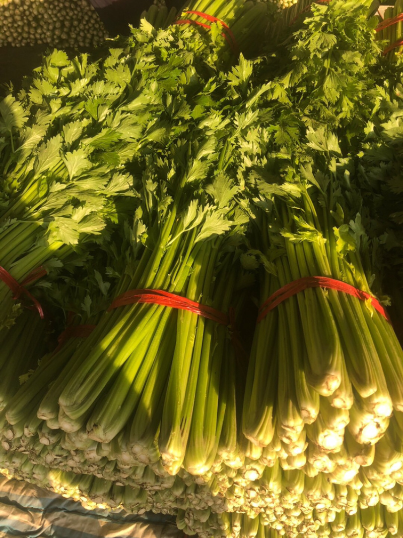 芹菜