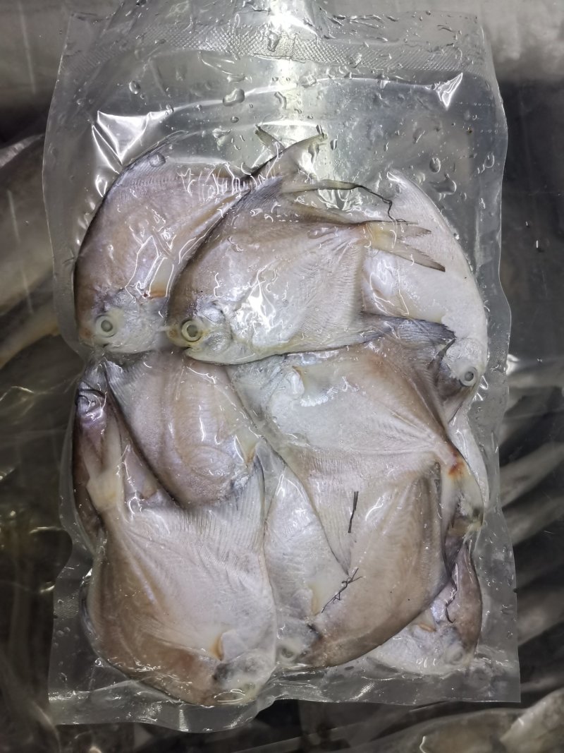 小白鲳鱼一斤装