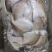 小白鲳鱼一斤装