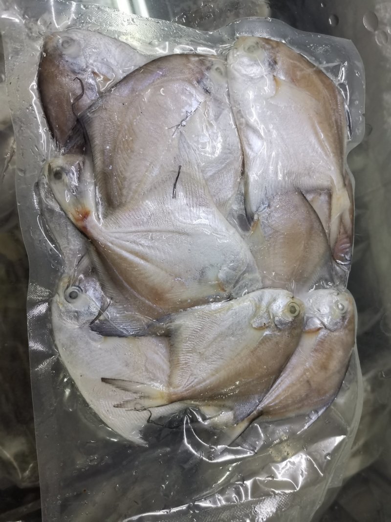 小白鲳鱼一斤装