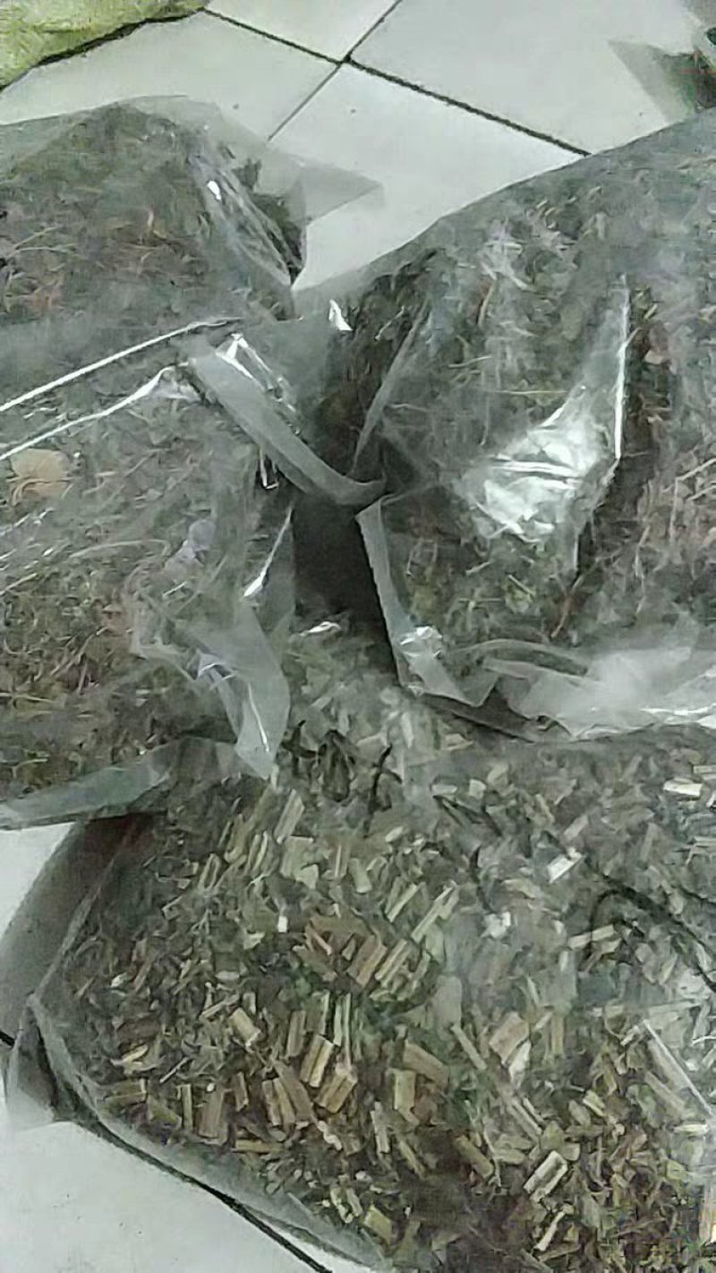 海金沙藤海金沙草金沙藤农家初选农副产业111