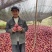 甘肃花牛苹果供应链落地配一件代发代加工商超送仓