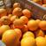 冰糖橙，纽荷尔脐橙产地大量批发。果园看货，现订现摘。