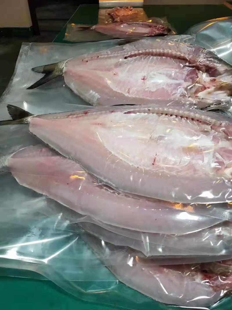 白鱼