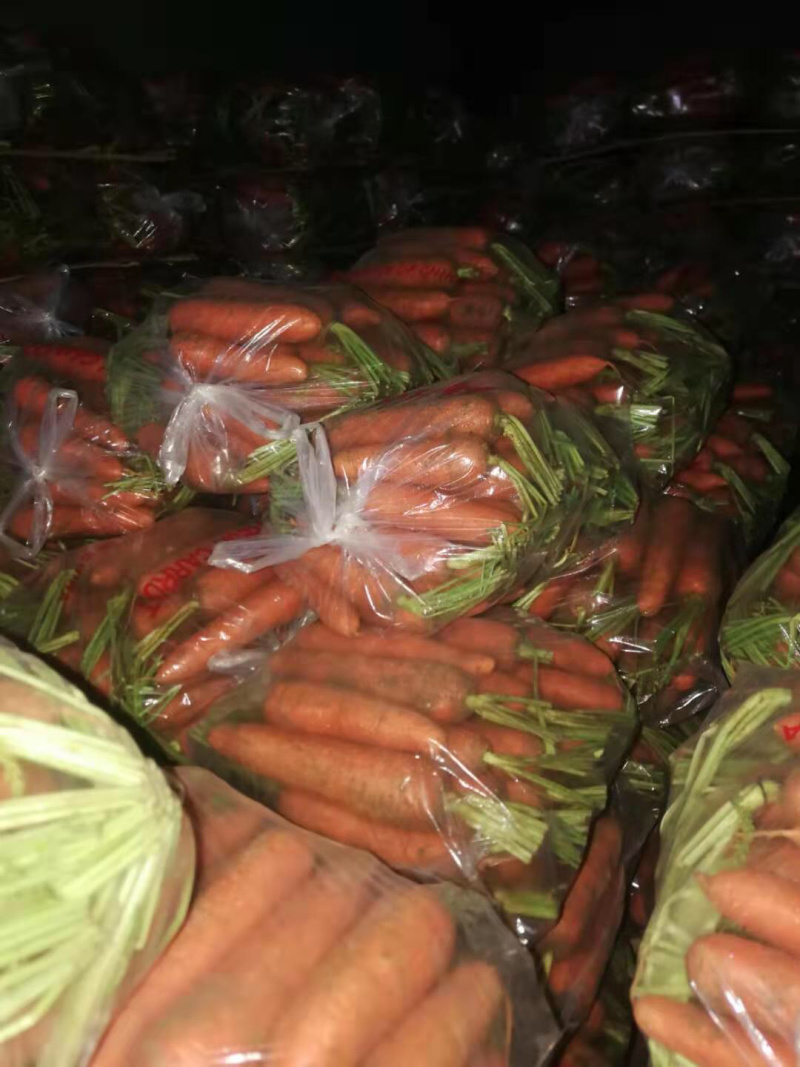 常年加工供应胡萝卜。需要的联系我