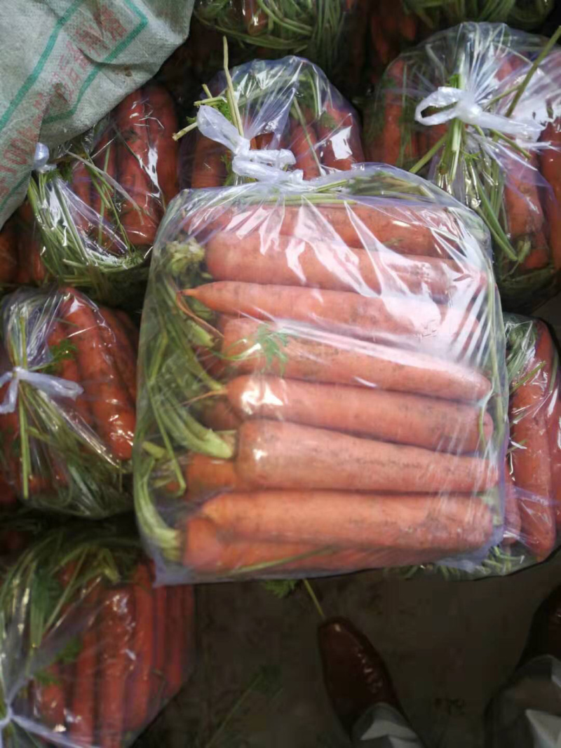常年加工供应胡萝卜。需要的联系我
