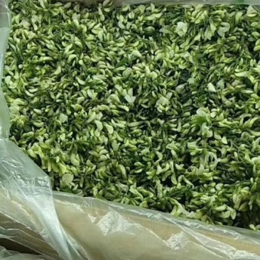 新鲜槐花，干冻，保证新鲜度，各地冷链物流发货