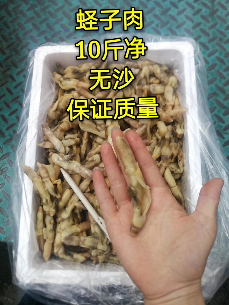 蛏子肉，珍珠鲍螺肉，厂家直销，热销全国，10件起发货