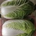 娃娃菜（白菜）毛货，净菜