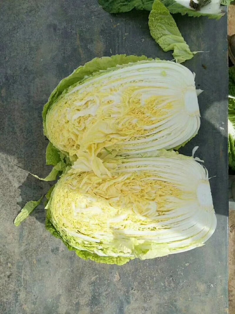 娃娃菜（白菜）毛货，净菜